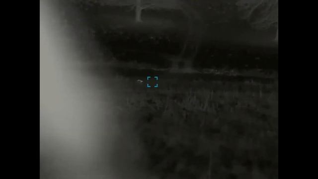 Thermal hunting: Foxing between the storms. смотреть онлайн