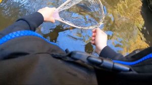 BFS Fishing For Stocked Trout (Shimano Calcutta Conquest BFS)