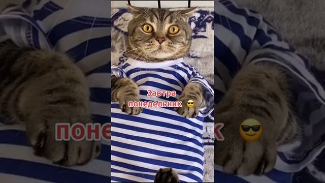 Настроение на 0 смотреть онлайн