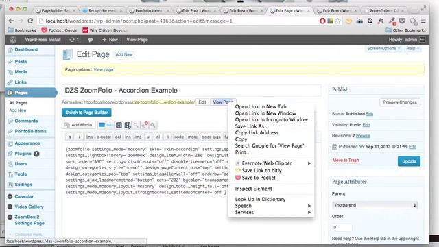 CodeCanyon, DZS ZoomFolio WordPress - Remake, Create Accordion Skin ZoomFolio смотреть онлайн