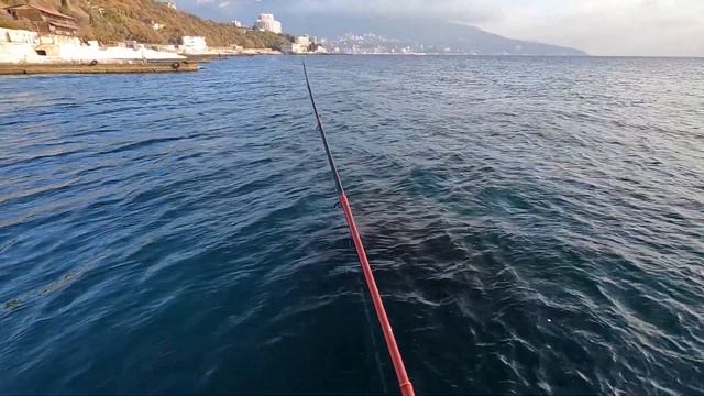 РУСАЛКА ПОПАЛА В КАДР! Рыбалка в Крыму. Ловля Саргана на Бомбарду смотреть онлайн