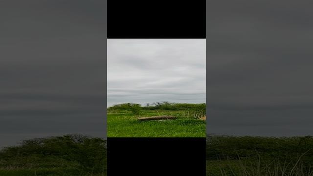 Работа подождёт