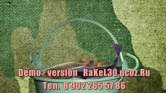 Какой подарок подарить мужу — красивые видео открытки с днем рождения смотреть онлайн