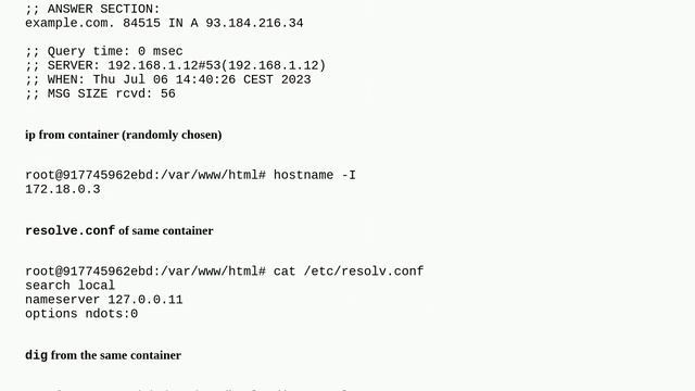 Docker Container DNS slow (~ 4 seconds) with DNS resolver as container смотреть онлайн