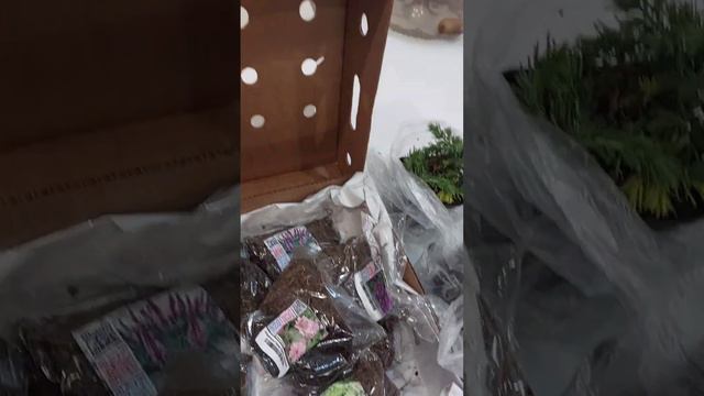 Распаковка посылки из Гаршинки смотреть онлайн