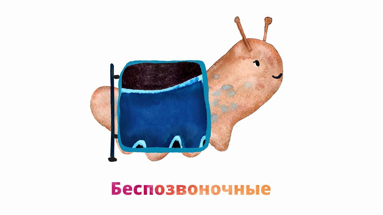 5.1. Беспозвоночные смотреть онлайн