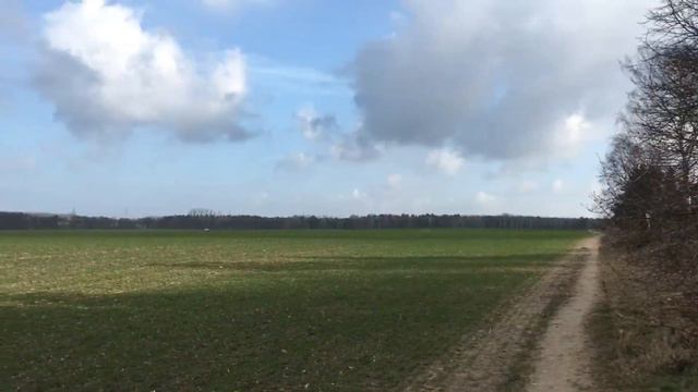 Бег по утрам смотреть онлайн