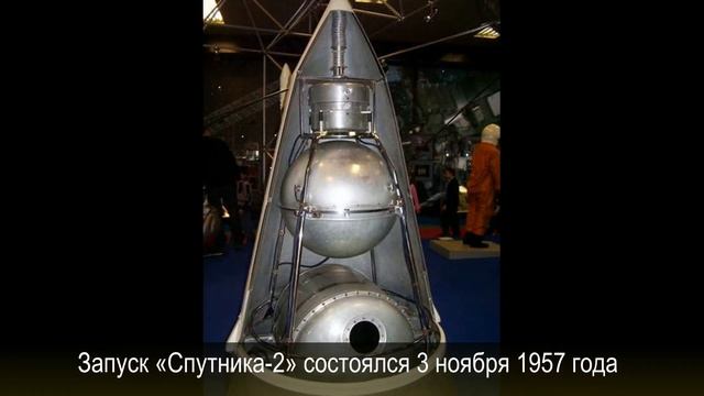 3 ноября 1957 года состоялся запуск космического корабля с собакой Лайкой на борту смотреть онлайн