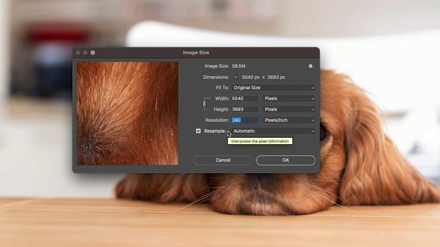 How To Resize An Image In Photoshop - No Quality Loss смотреть онлайн