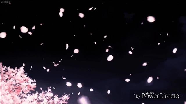 [AMV]Разрывая ветром🍃 смотреть онлайн