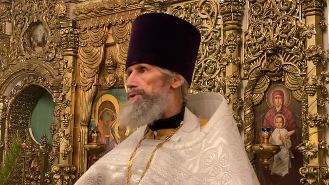 Праздничная проповедь в Рождество Христово. смотреть онлайн