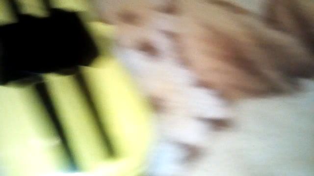 Распаковка) Оч. Посылки ( Машина на пульте управления, и , Телефон Androed )!!??? смотреть онлайн