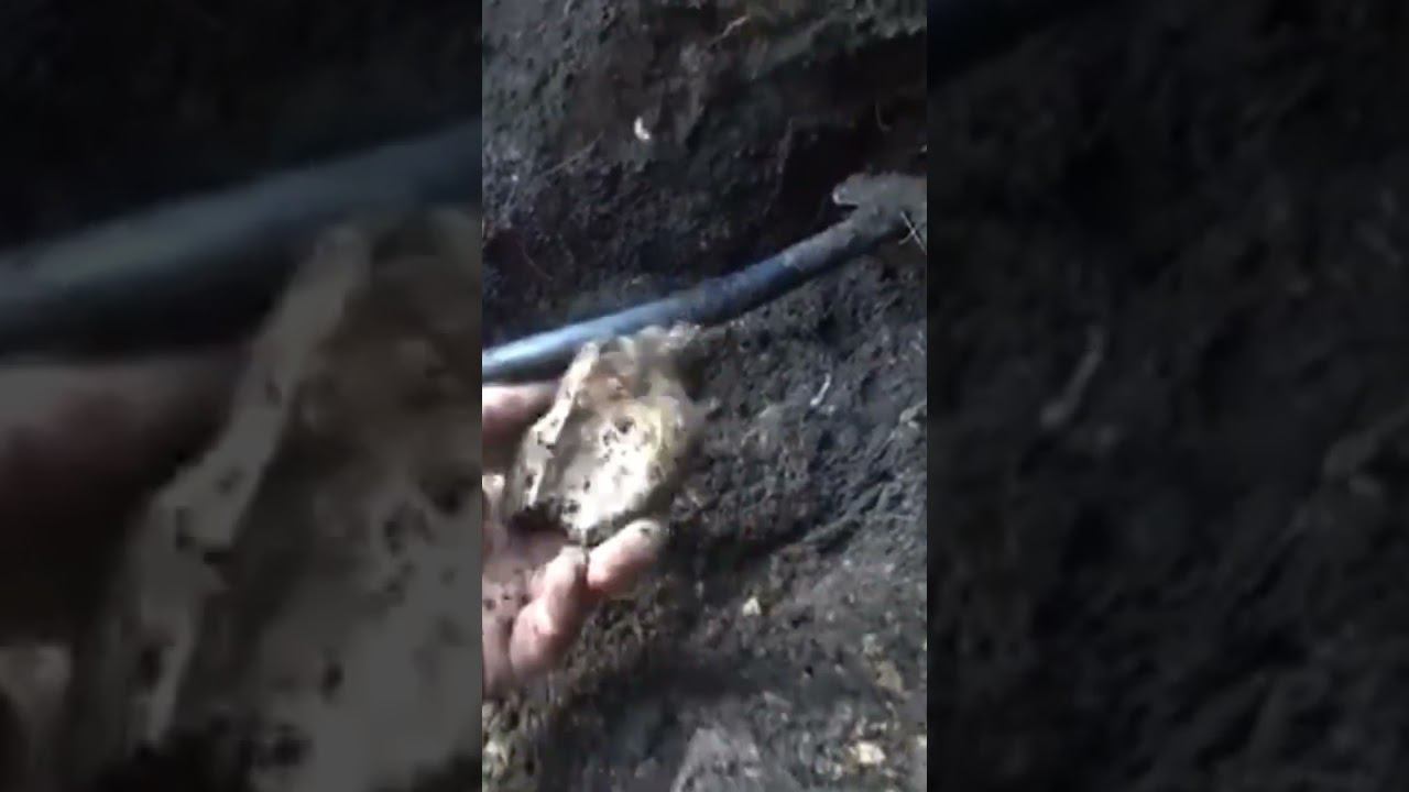 ШОК!!! АМПУТИРОВАННАЯ КОНЕЧНОСТЬ в итальянском блиндаже!!! смотреть онлайн