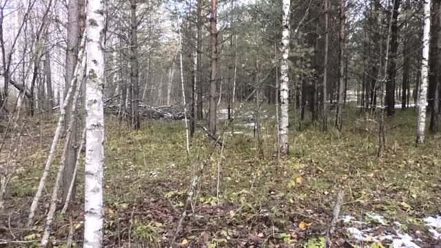 Дааа, на охоте с гончими по зайцу бывает всякое! смотреть онлайн