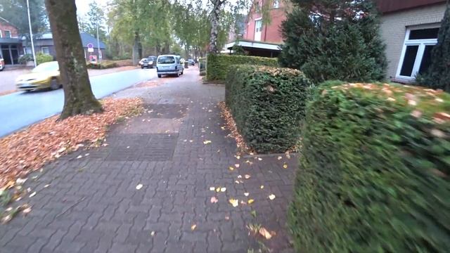 Живая изгородь. Виды живой изгороди. Германия. смотреть онлайн