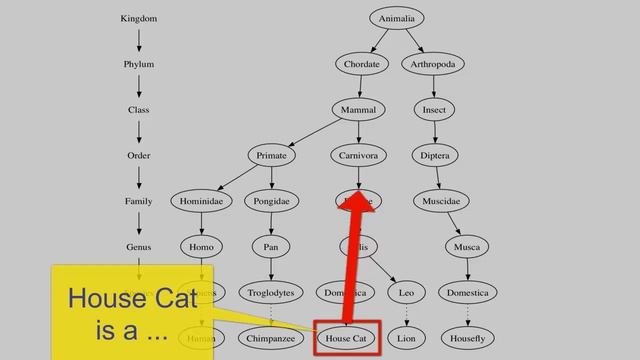 #30 OOP Part-2: Inheritance in C and C++ смотреть онлайн
