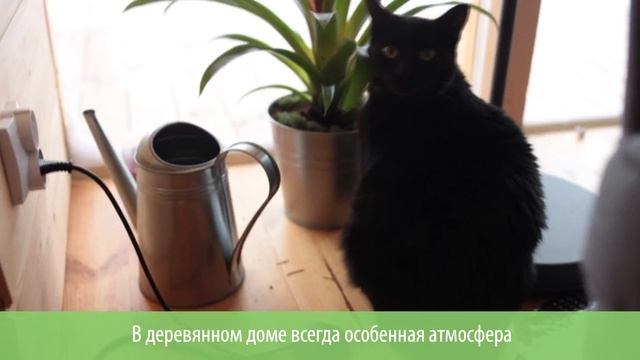 Стройдом. Деревянное домостроение. смотреть онлайн