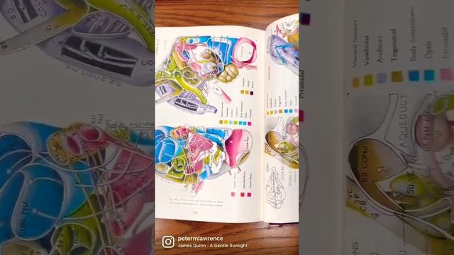 Как стать экспертом в JavaScript