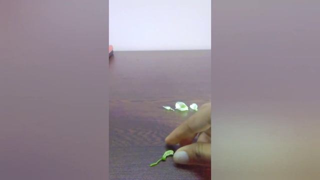 Dissection of sweat pea flower ( Lathyrus odoratus) Step to step. смотреть онлайн
