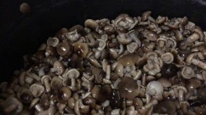 МАРИНОВАННЫЕ ОПЯТА  НА ЗИМУ  САМЫЙ ВКУСНЫЙ РЕЦЕПТ