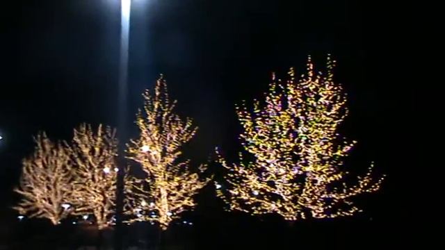 Освещение аллеи Донецк 3 смотреть онлайн