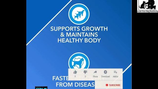 Best Supplements For Dog : Multivitamin : Food And Diet : Malayalam смотреть онлайн