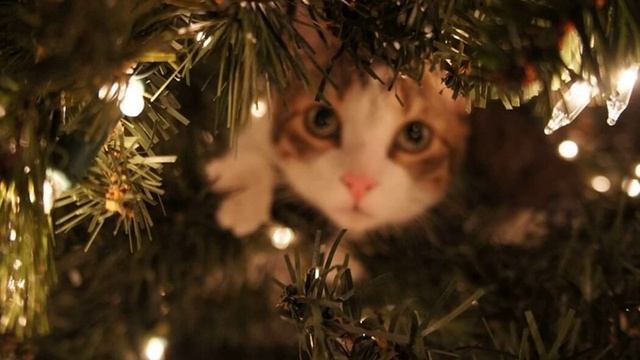 ЕЖЕМЕСЯЧНЫЕ (СЛАВА КПСС / FALLEN MC) - запахло ёлкой смотреть онлайн