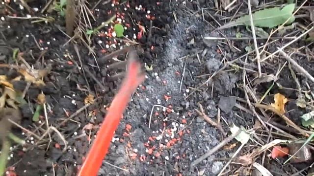 ФОСФОРНО КАЛИЙНАЯ ПОДКОРМКА. ГОТОВИМ РАСТЕНИЯ К ЗИМЕ, смотреть онлайн