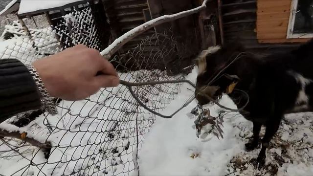 Про моих козлов смотреть онлайн