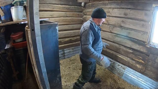 ПОГИБШАЯ КЛЕТКА - РЕАНИМАЦИЯ ОТ А ДО Я | ТЕМПЕРАТУРА БАКТЕРИИ | ОПИЛКИ ДЛЯ СВИНЕЙ | РАБОТА БАКТЕРИЙ смотреть онлайн