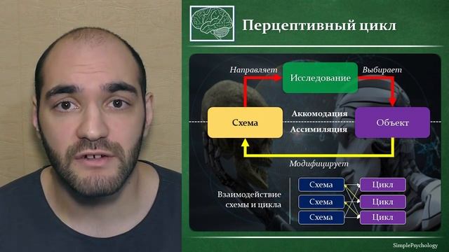 Когнитивная психология #8. Информационная метафора: тeория перцептивного цикла и теория фреймов. смотреть онлайн