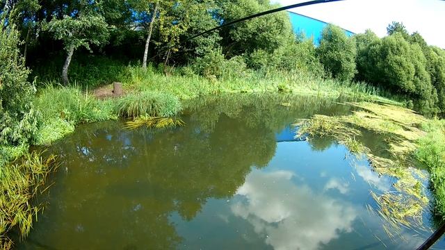 Ловля уклейки на Тенкару смотреть онлайн