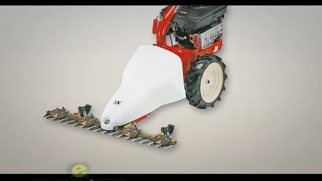 Motofalciatrice EUROSYSTEMS Bilama M210 su www.gardenitaliastore.it смотреть онлайн