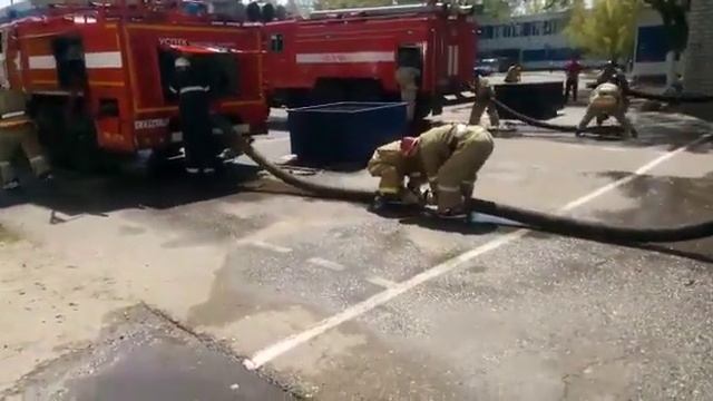 Свежие соревнования по ПСП смотреть онлайн