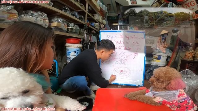 TẬP 12: LÊN KẾ HOẠCH BẮT "ÔNG XE ÔM" LỪA ĐẢO LẤY QUẦN ÁO ANH SEN | BÔNG BÉ BỎNG смотреть онлайн