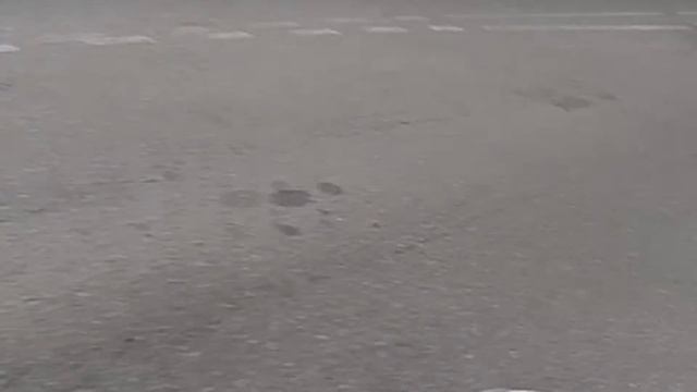 Потерял телефон на ходу! смотреть онлайн