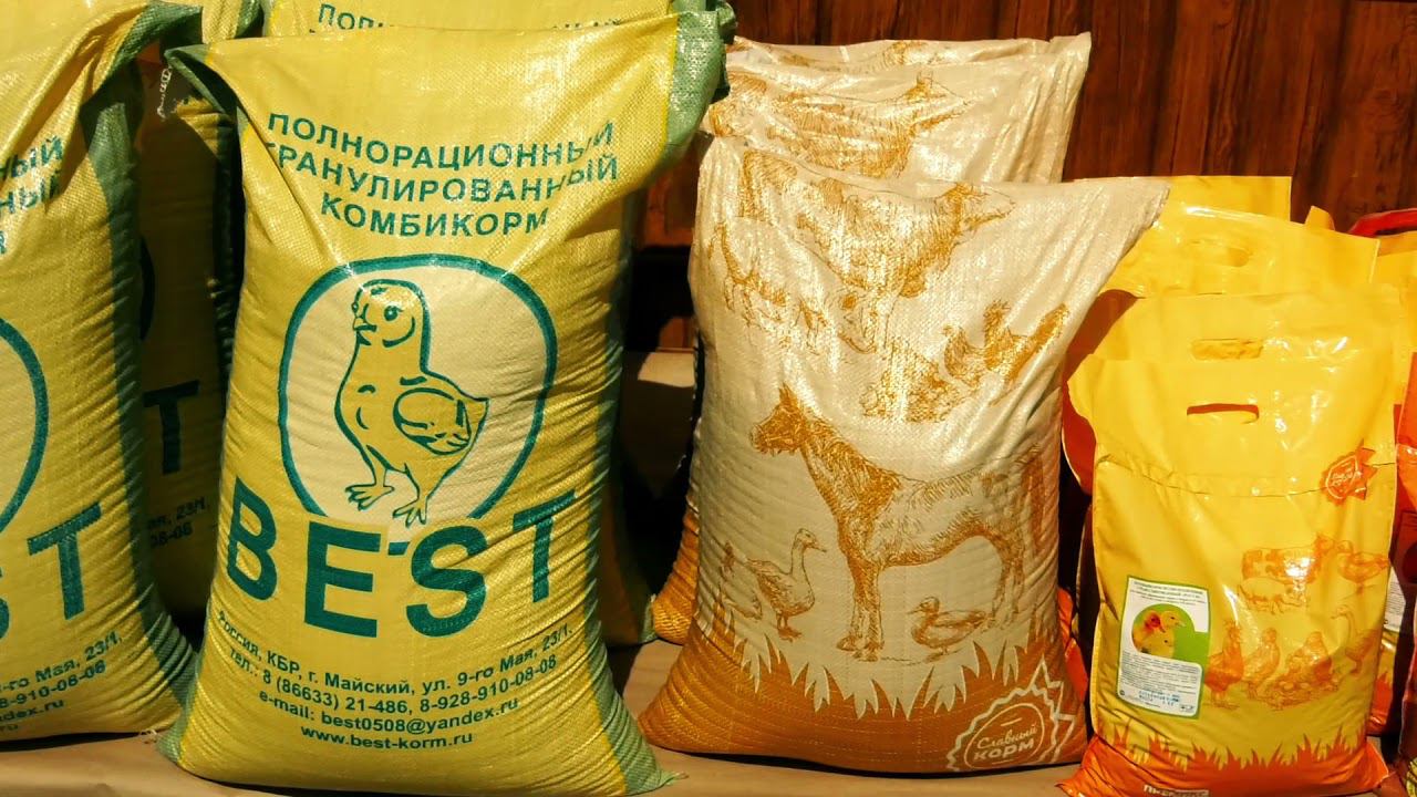 База Дружининская смотреть онлайн