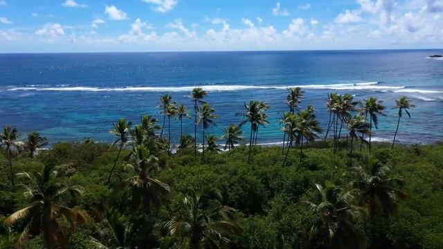 Sleeping, stress relief, and focus. Escape into the Flute sounds of harmony and relaxation смотреть онлайн