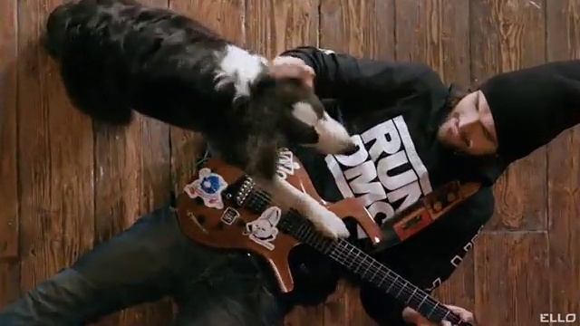 Noize MC  Порвав поводок