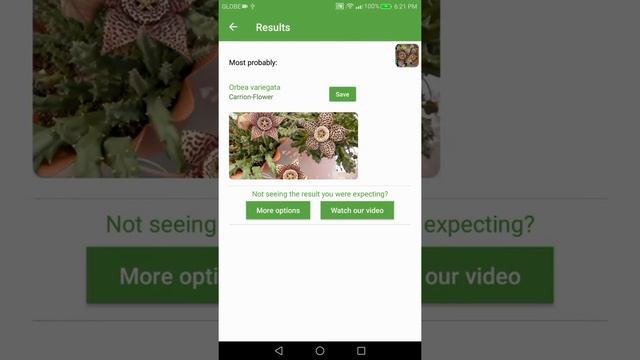 PlantSnap identifies a Carrion Flower Orbea variegata смотреть онлайн