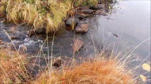 Архив. Фрагменты. 2017. Кольский полуостров. 15.01.24.