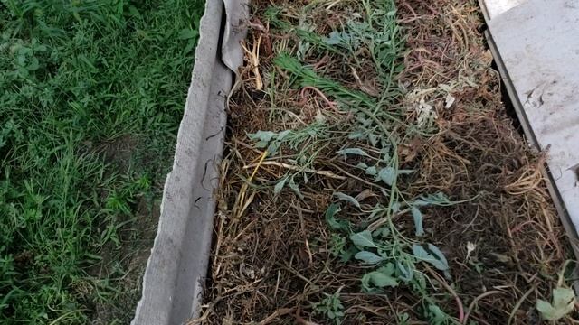 Работы с червем смотреть онлайн