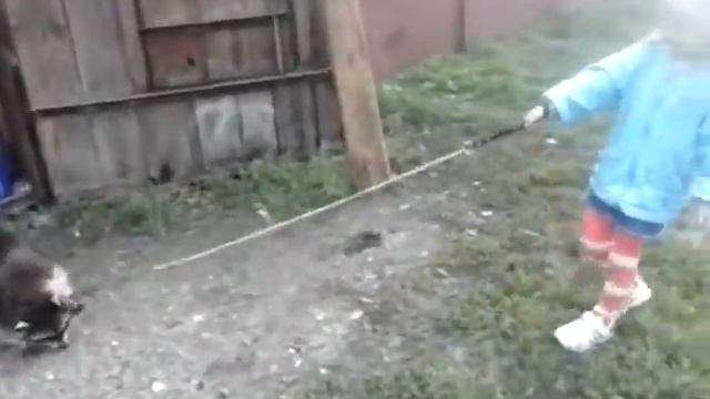 Девочка и енот смотреть онлайн