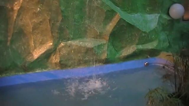 Змея, Сцинк синеязычный, черепаха звездчатая смотреть онлайн