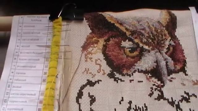 Филин от "Чудесной иглы".СП.Такие разные совы" Отчет №2 смотреть онлайн