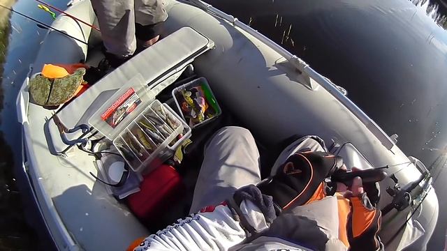 Обзор камеры Water Wolf HD. Уникальные щучьи съёмки под водой. смотреть онлайн