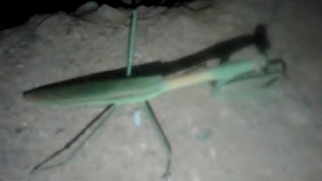 Canon Powershot Sx410 Is Camera Test [HD]