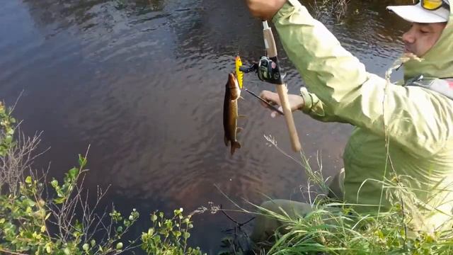 Рыболовный рай. Озеро Аскер-2 смотреть онлайн
