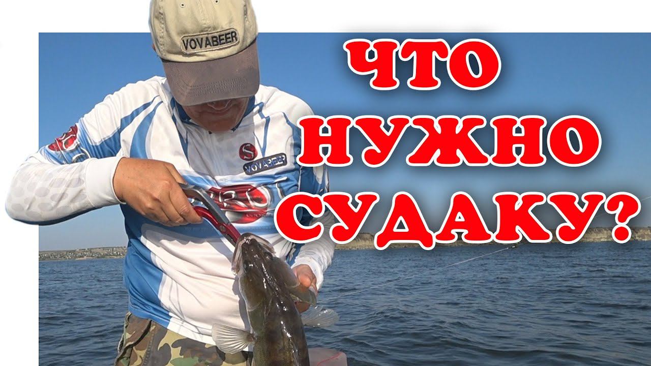 НА ЧТО ЛОВИТЬ СУДАКА С БЕРЕГА ч.2  vovabeer