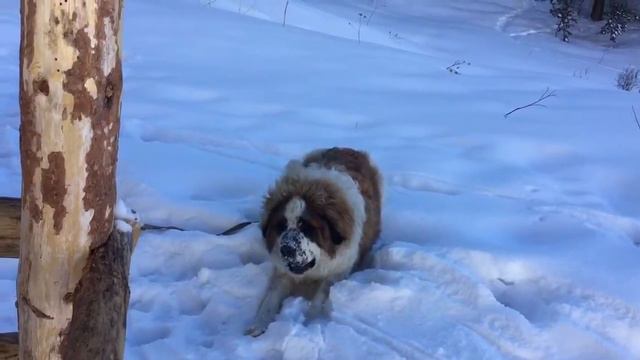 По дороге к Бутаковскому водопаду смотреть онлайн